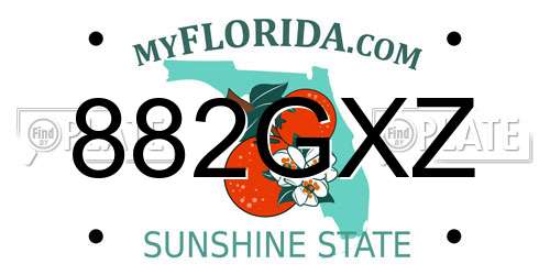 882GXZ Florida License Plate