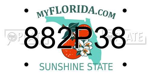 882P38 Florida License Plate
