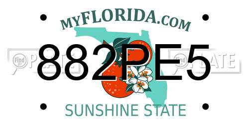882PE5 Florida License Plate