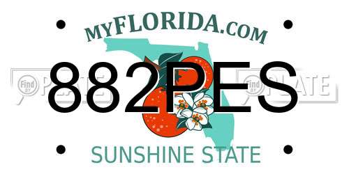 882PES Florida License Plate