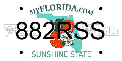 882RSS Florida License Plate