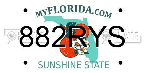 882RYS Florida License Plate