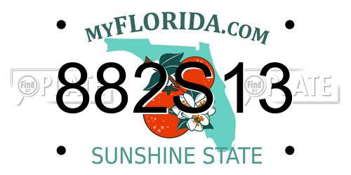 882S13 Florida License Plate