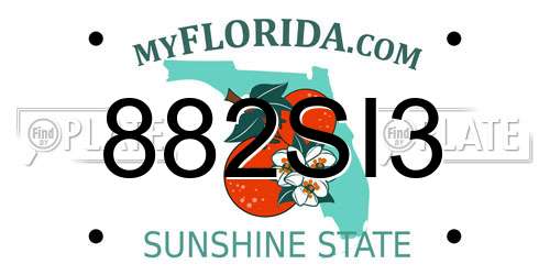 882SI3 Florida License Plate
