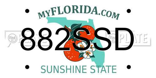 882SSD Florida License Plate
