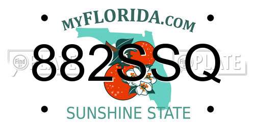 882SSQ Florida License Plate