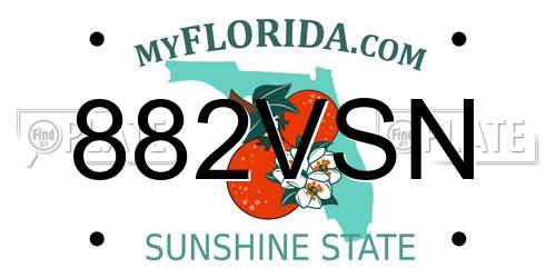 882VSN Florida License Plate