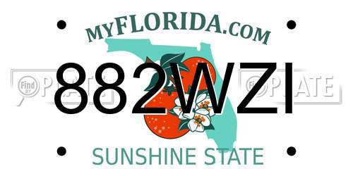 882WZI Florida License Plate