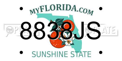 8838JS Florida License Plate