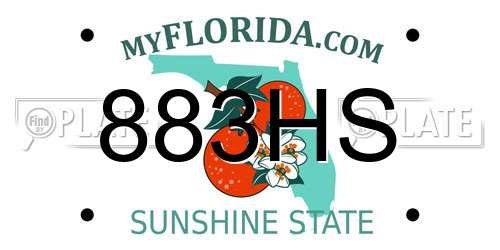 883HS Florida License Plate