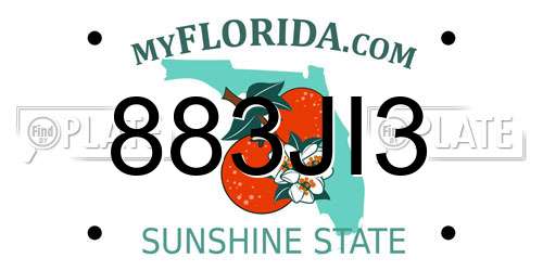 883JI3 Florida License Plate