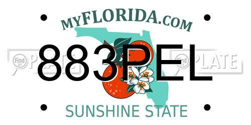 883PEL Florida License Plate