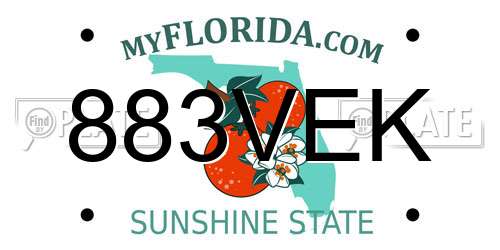 883VEK Florida License Plate