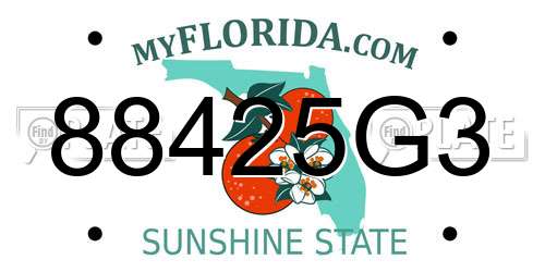 88425G3 Florida License Plate