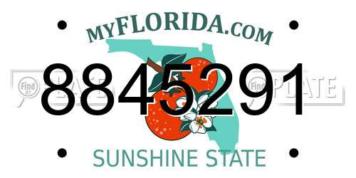 8845291 Florida License Plate