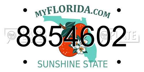 8854602 Florida License Plate