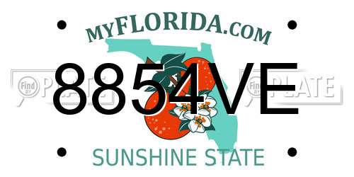8854VE Florida License Plate