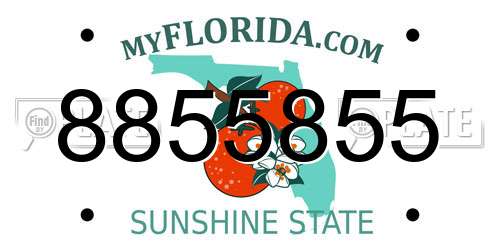 8855855 Florida License Plate