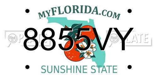 8855VY Florida License Plate