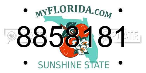 8858181 Florida License Plate