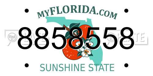8858558 Florida License Plate