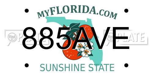 885AVE Florida License Plate