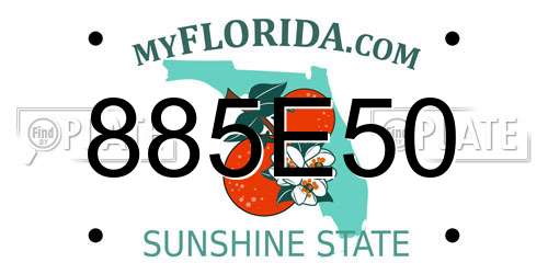 885E50 Florida License Plate