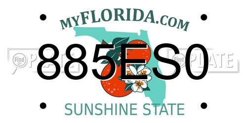 885ES0 Florida License Plate
