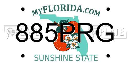 885PRG Florida License Plate