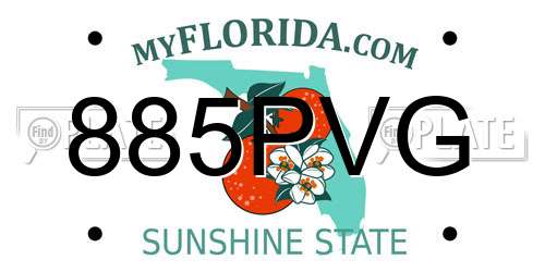 885PVG Florida License Plate