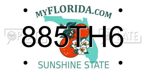 885TH6 Florida License Plate