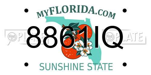 8861IQ Florida License Plate