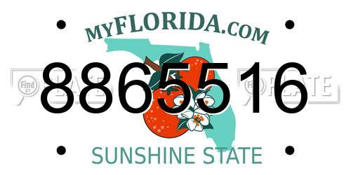 8865516 Florida License Plate