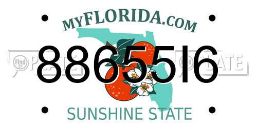 88655I6 Florida License Plate