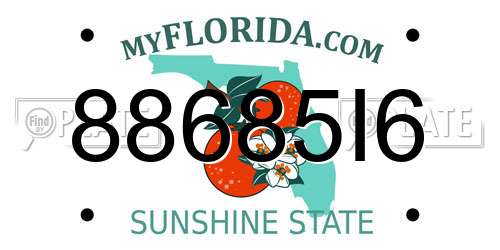 88685I6 Florida License Plate