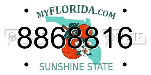 8868816 Florida License Plate