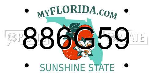 886G59 Florida License Plate