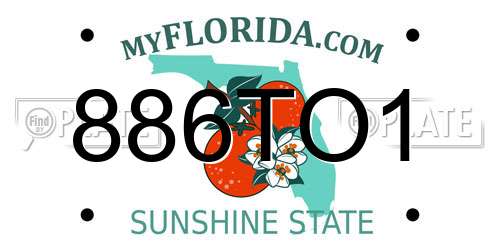 886TO1 Florida License Plate