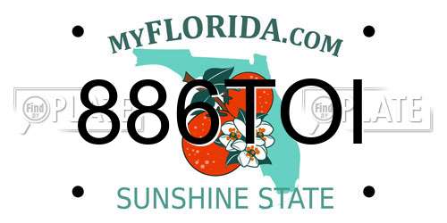 886TOI Florida License Plate