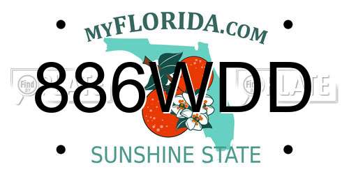 886WDD Florida License Plate