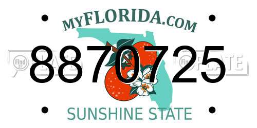 8870725 Florida License Plate