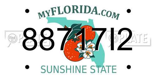 88717I2 Florida License Plate