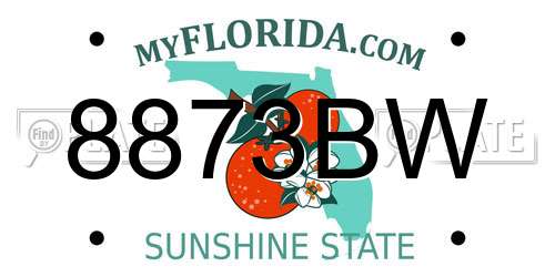 8873BW Florida License Plate