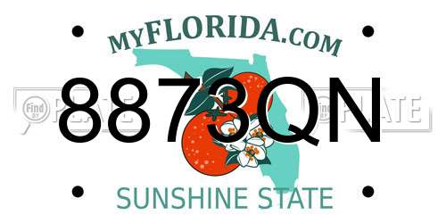 8873QN Florida License Plate