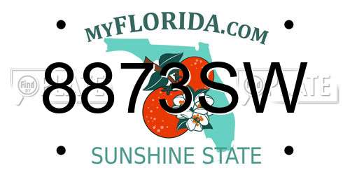8873SW Florida License Plate