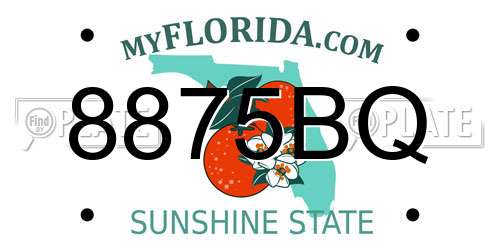 8875BQ Florida License Plate