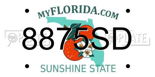 8875SD Florida License Plate