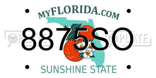 8875SO Florida License Plate