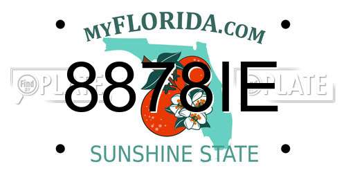 8878IE Florida License Plate
