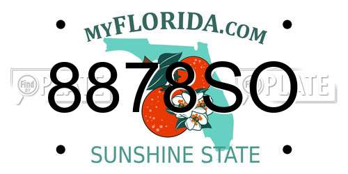 8878SO Florida License Plate